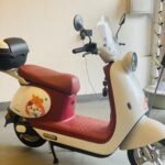 HERMI HM-02 URBAN ELECTRIC BIKE