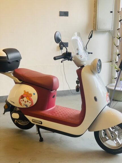 HERMI HM-02 URBAN ELECTRIC BIKE